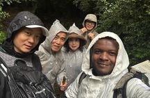 Mount Kilimanjaro Day Hike