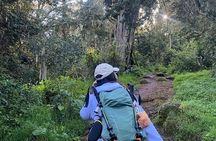Mount Kilimanjaro Day Hike