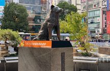 Discover Shibuya Culture and Street Life with a Local Guide