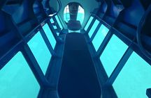 3 Hours Morning Adventure by Turtle Submarine