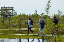 Jurmala and Kemeri National Park Tour with pick-up