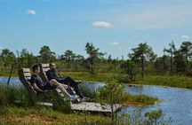 From Riga: Jurmala and Kemeri National Park Tour + Baltic Sea