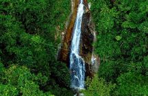 Zipline by Hawk Adventure The Biggest & Longest in Koh Samui