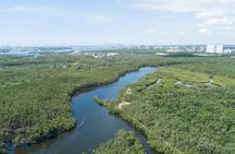 Miami Beach Helicopter Tour