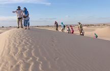 From Djerba: 2 days in the Sahara with overnight in a camp