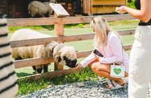 Krakow: Zakopane Tour - Gubalowka and Thermal Pools Options