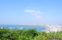 Private Pattaya City Tour with Sanctuary of Truth from Bangkok