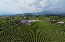 Benazzoli Wine Experience