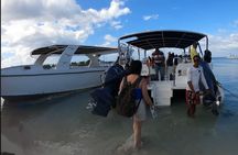  Beautiful Saona Island