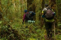 Rincón de la Vieja Volcano Hike & Crystal-Blue Swimming Adventure