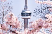 Best of Toronto City Tour with Boat Cruise & CN Tower