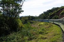 Island of Honey with train
