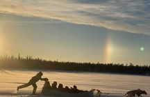 Traditional Dog Sledding Adventure in Yellowknife