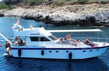 1-Day Cruise with Lunch and Snorkeling to Favignana from Marsala