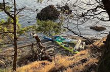 Wildlife Spotting Kayak Adventure on Orcas Island
