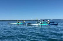 Rosario Coastal Kayak Tour on Orcas Island