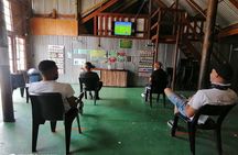 Treetop Canopy Tour and Jeffreys Bay Highlights Tour 