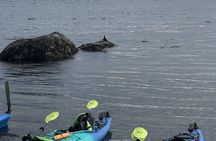 Rosario Coastal Kayak Tour on Orcas Island