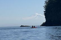 Wildlife Spotting Kayak Adventure on Orcas Island