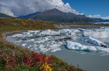 Scenic Helicopter Flight-60 Minutes-Anchorage Area