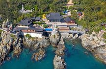 For Busan Cruise Guest highlight Day tour