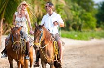 Horseback Riding Adventure to Macao Alto Beaches in Punta Cana