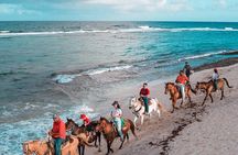 Horseback Riding Adventure to Macao Alto Beaches in Punta Cana