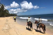 Horseback Riding Adventure to Macao Alto Beaches in Punta Cana
