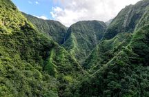 AOA Polynesian Forests - Hiking Sanctuary Biodiversity Tahiti