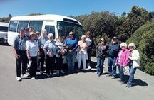 Dunedin Nature and City Tour with Larnach Castle included