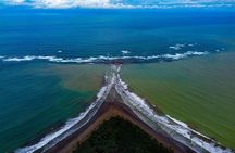 Experience a Private Whale Watching Tour in Uvita from San José