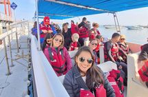 Full Day Tour Paracas Ica Huacachina