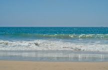 Baja Desert and Beach Electric Bike Adventure with Buffet