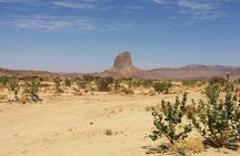 Baja Desert and Beach Electric Bike Adventure with Buffet