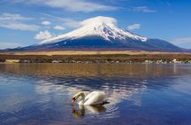 Mount Fuji & Lake Kawaguchi 1-Day Bus Tour from Tokyo