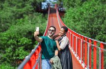 Best DMZ Tour Korea from Seoul (Suspension Bridge & JSA Museum)