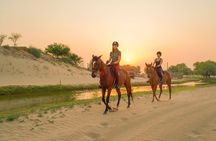 Dubai Al Marmoom Oasis Horse Riding Experience with Snack
