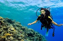 Marsa Mubarak Snorkeling Trip,2 intro dive & Transfer :Marsa Alam