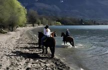 Horseback Riding Tour from Colico on Lake Como