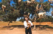 Agadir Crocoparc and Goats on Trees Day Tour