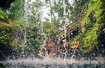 Dive Into Paradise: Cenote Tour