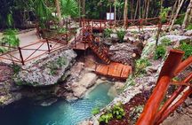 Dive Into Paradise: Cenote Tour