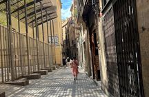 Barcelona: Guided City Tour by Local Transport