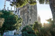 Barcelona: Guided City Tour by Local Transport