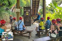 Tree Limin' Extreme Zipline