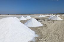 Tsingy and Kirindy and Av EN ue des Baobabs Belo sur Mer in 7 Days