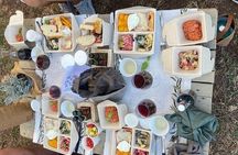 Picnic among the Olive Trees and Tasting of Oil and Local Flavors