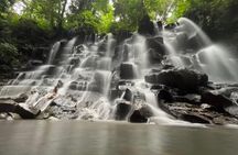 Best Of Hidden Waterfall And Ubud Private Tours
