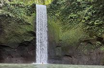 Best Of Hidden Waterfall And Ubud Private Tours