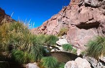 Purilibre Trekking: Disconnection and Nature